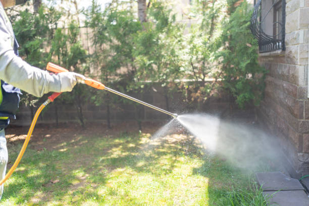 Best Mosquito Control  in Mccrory, AR